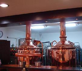 150升-1000升智能自動(dòng)控溫排壓遙控系統(tǒng)釀酒設(shè)備出售及訂