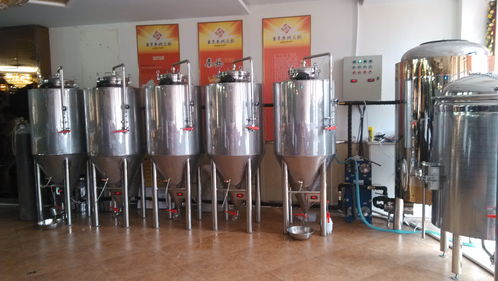 自釀設(shè)備現(xiàn)場(chǎng)安裝定做釀酒設(shè)備